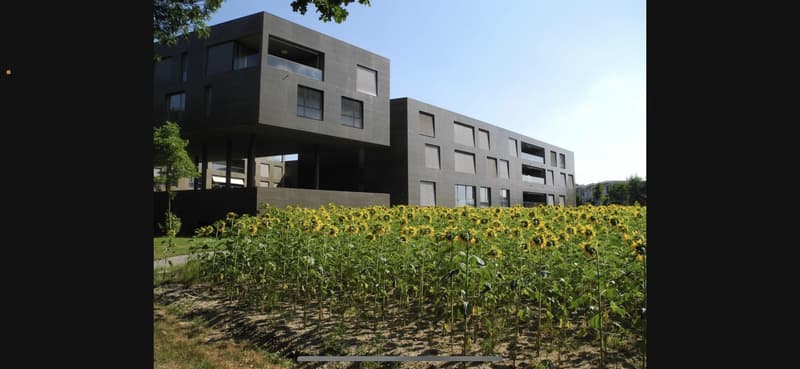 moderne 2.5 Zimmer Wohnung Rothrist (10)