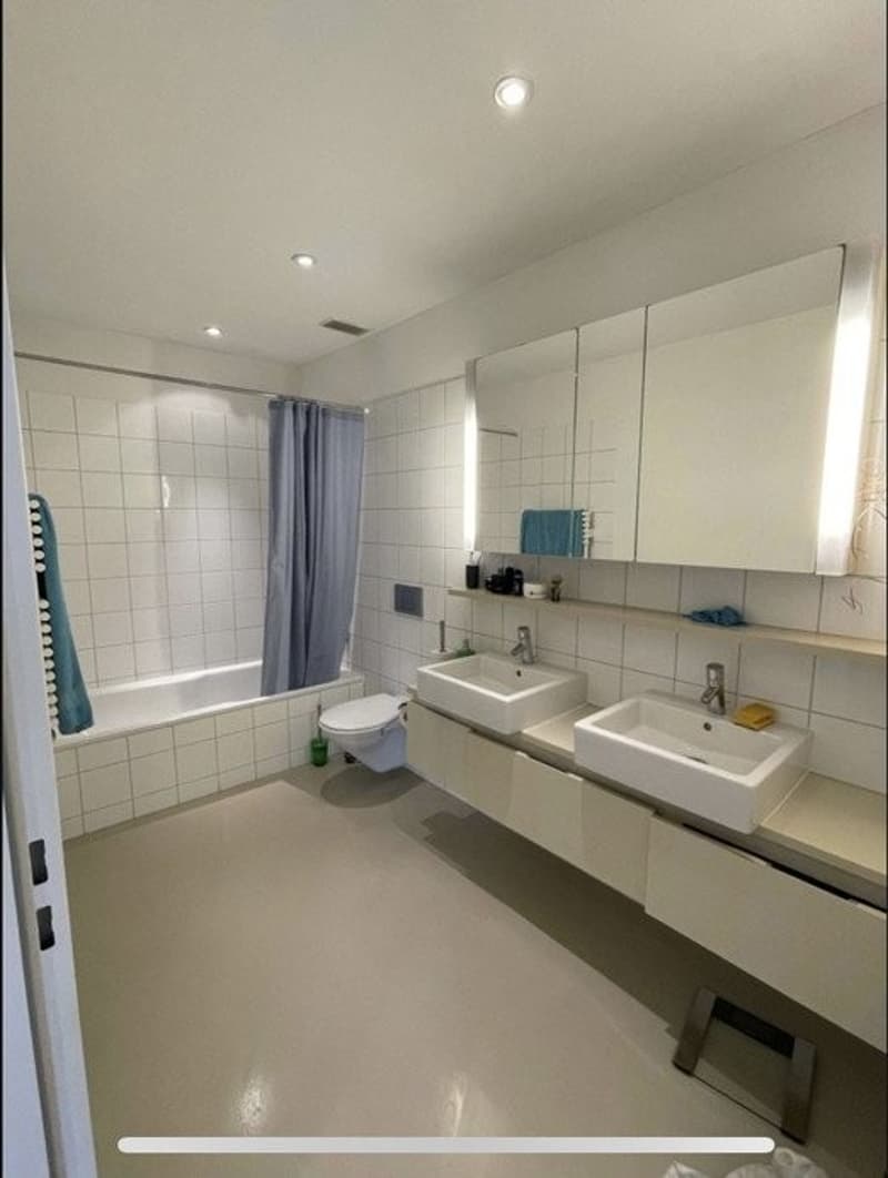 moderne 2.5 Zimmer Wohnung Rothrist (3)