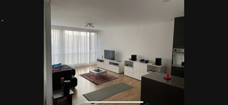 moderne 2.5 Zimmer Wohnung Rothrist (5)