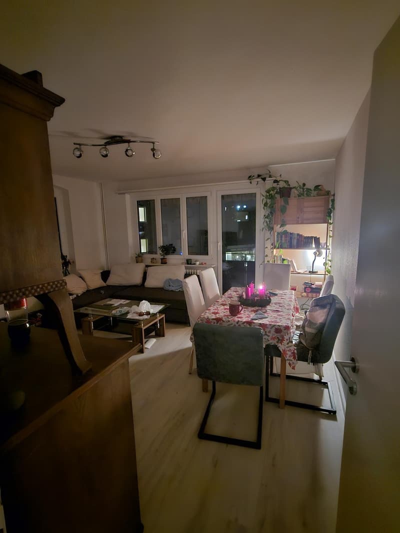 4 Zimmer-Wohnung, 8953 Dietikon (1)