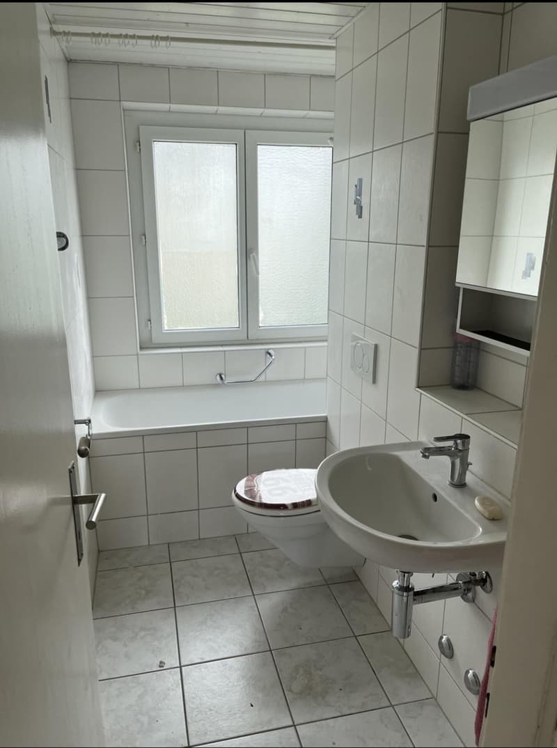 4 Zimmer-Wohnung, 8953 Dietikon (6)