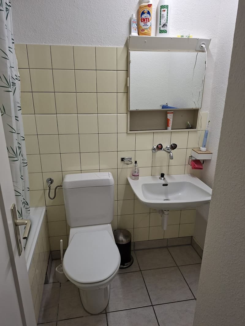 WG zimmer in Affoltern zu vermieten (8)