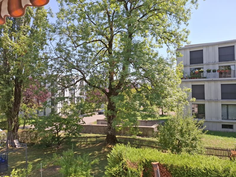 Fully Furnished Private 2-Room Living & Working Space Zurich Kreis 3 (9)