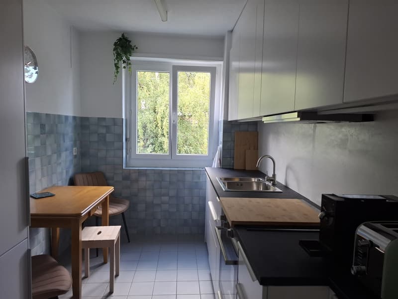 Fully Furnished Private 2-Room Living & Working Space Zurich Kreis 3 (5)