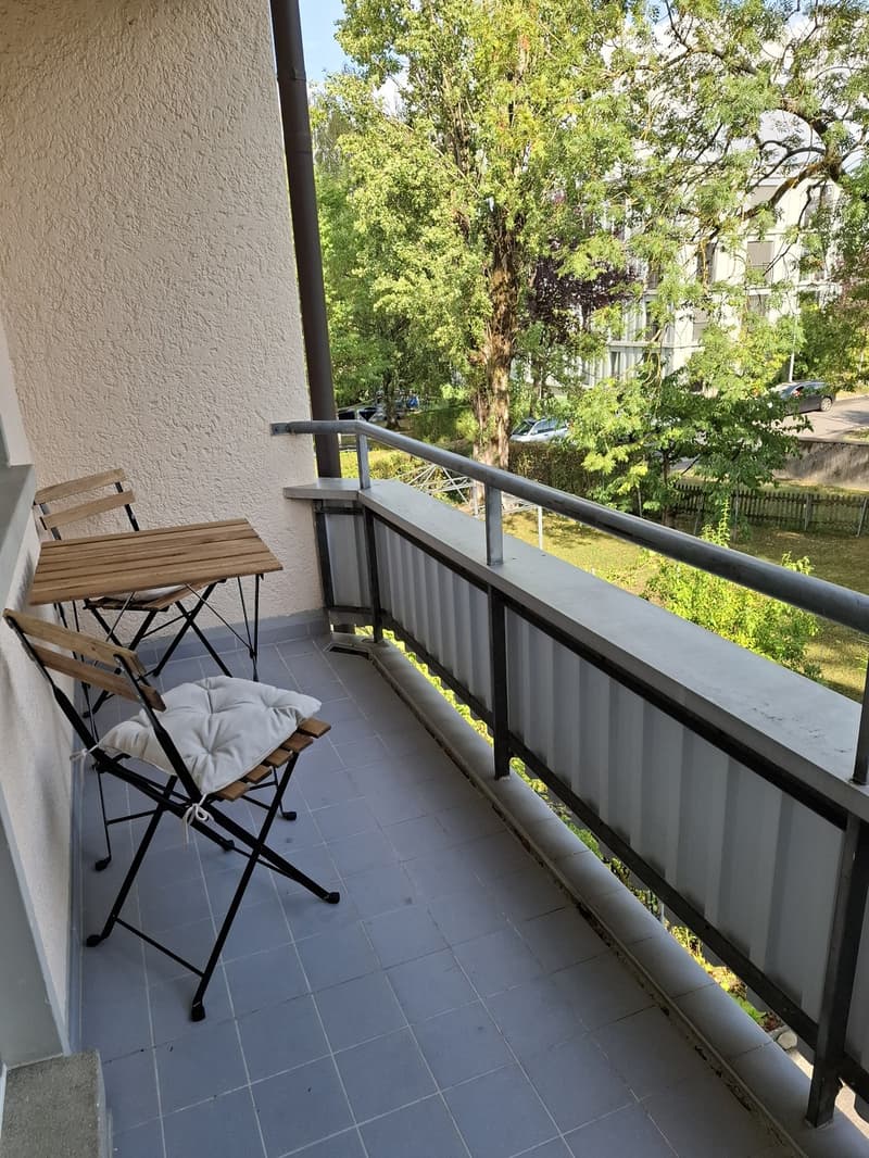 Fully Furnished Private 2-Room Living & Working Space Zurich Kreis 3 (7)