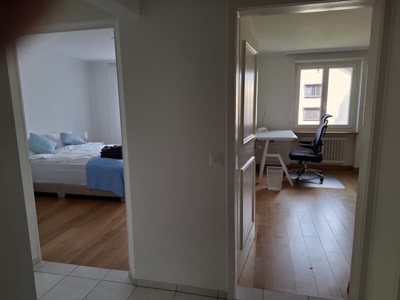 Fully Furnished Private 2-Room Living & Working Space Zurich Kreis 3 (1)