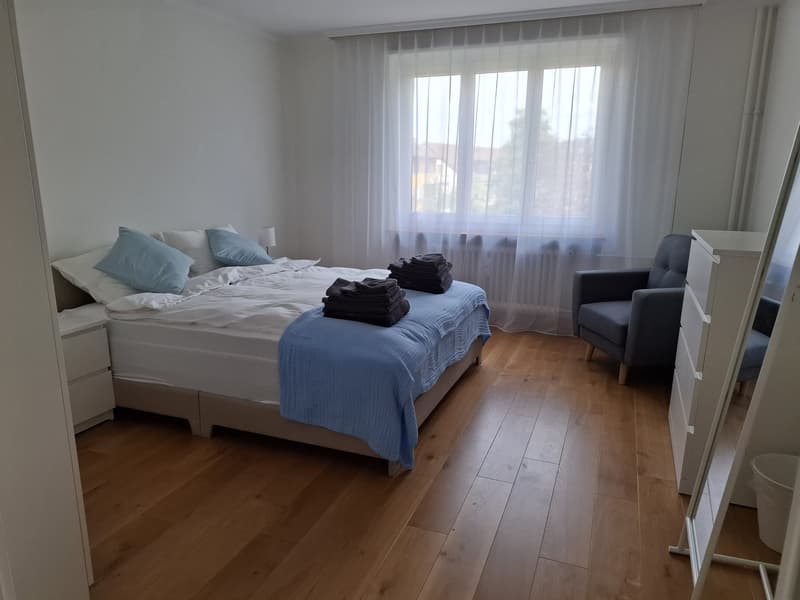 Fully Furnished Private 2-Room Living & Working Space Zurich Kreis 3 (2)