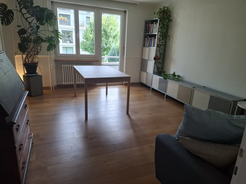 Fully Furnished Private 2-Room Living & Working Space Zurich Kreis 3 (6)