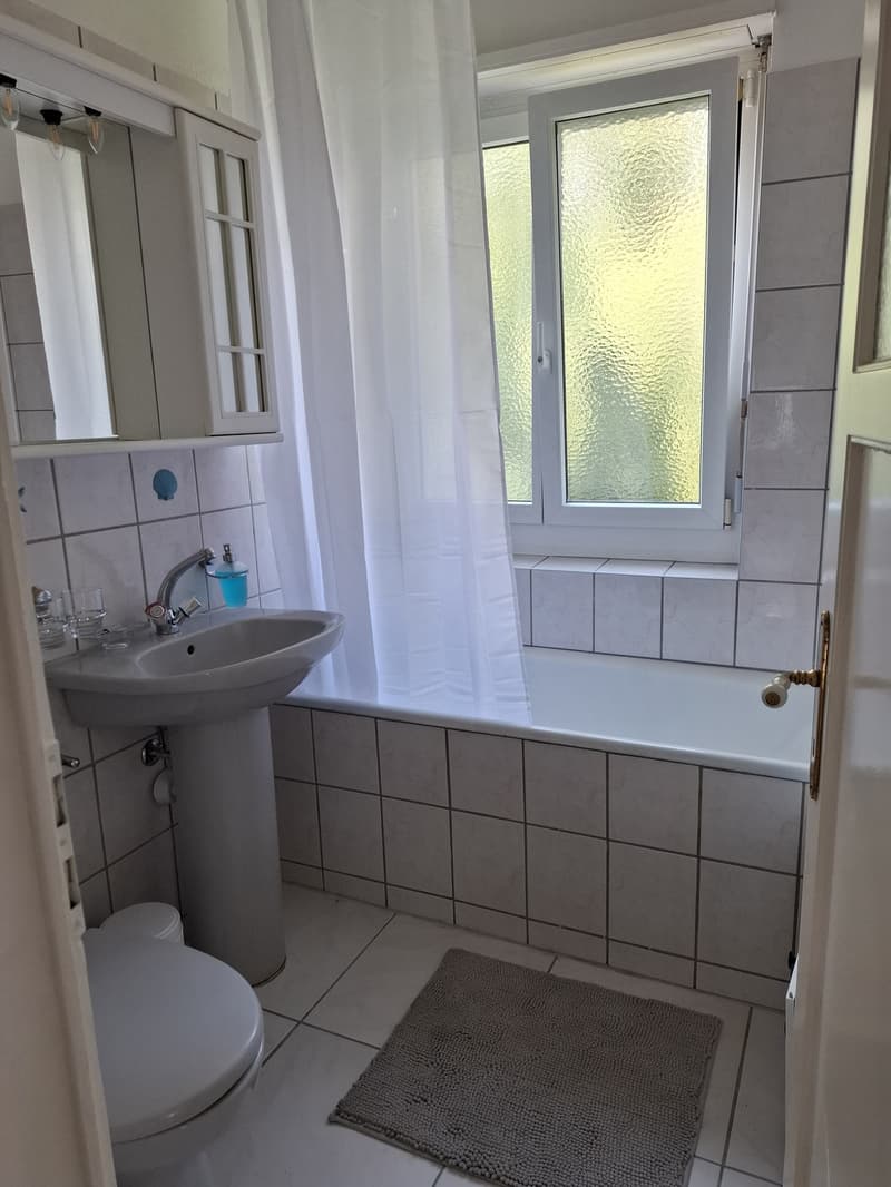 Fully Furnished Private 2-Room Living & Working Space Zurich Kreis 3 (4)