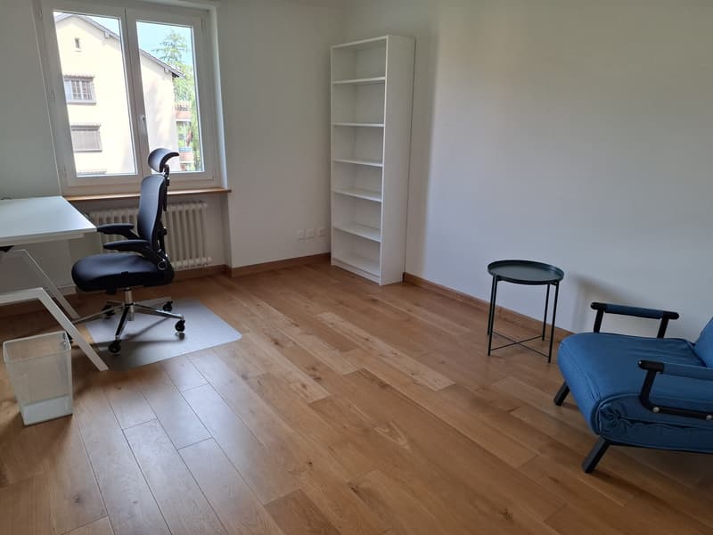Fully Furnished Private 2-Room Living & Working Space Zurich Kreis 3 (3)