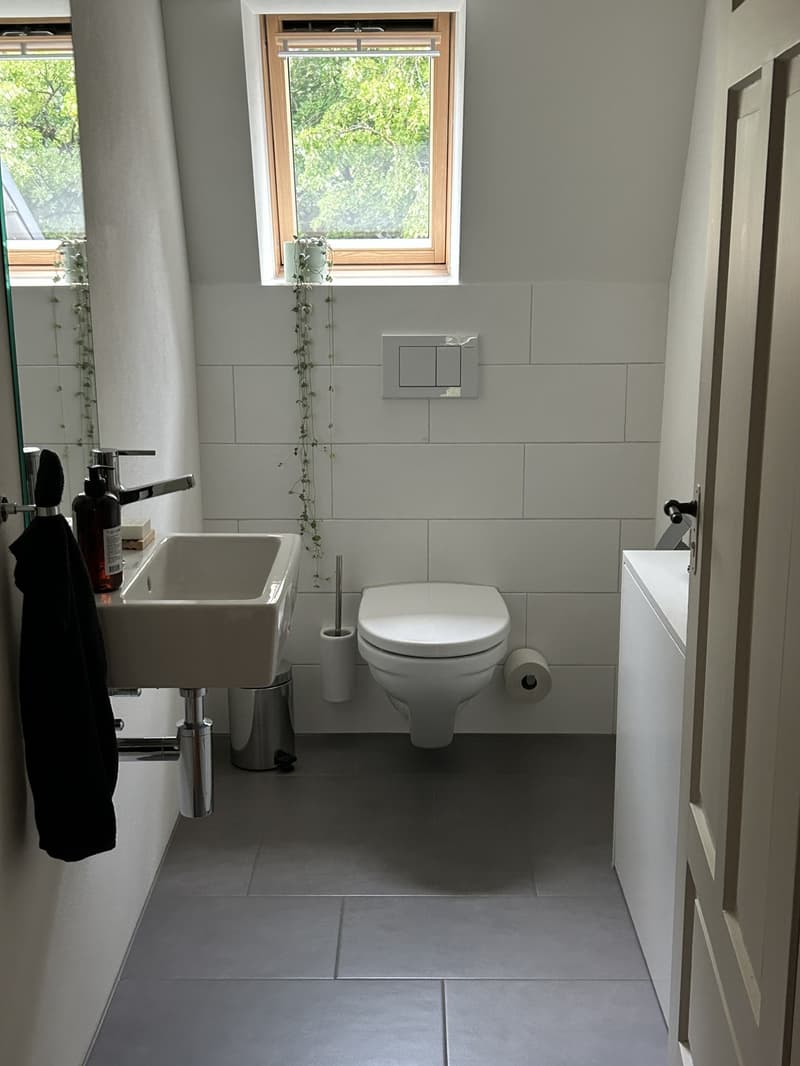 Stilvolle 2,5-Zimmer Dachwohnung mit exklusiver Panorama-Dachterrasse (8)