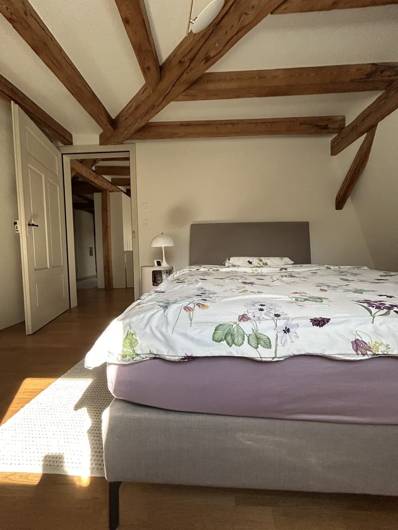 Stilvolle 2,5-Zimmer Dachwohnung mit exklusiver Panorama-Dachterrasse (10)