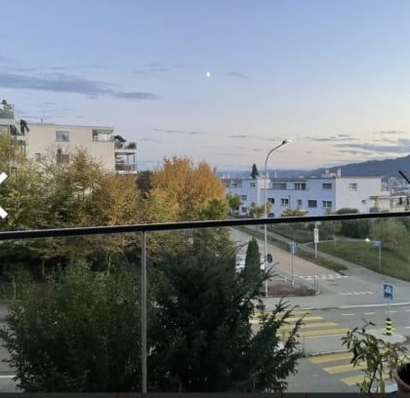 1 Zimmer-Wohnung, 8049 Zürich (5)
