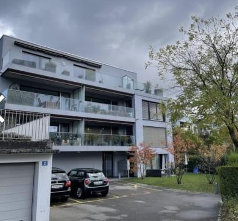 1 Zimmer-Wohnung, 8049 Zürich (2)
