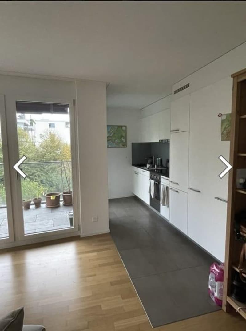 1 Zimmer-Wohnung, 8049 Zürich (1)
