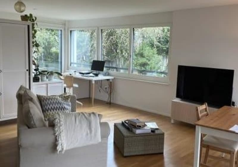 1 Zimmer-Wohnung, 8049 Zürich (3)