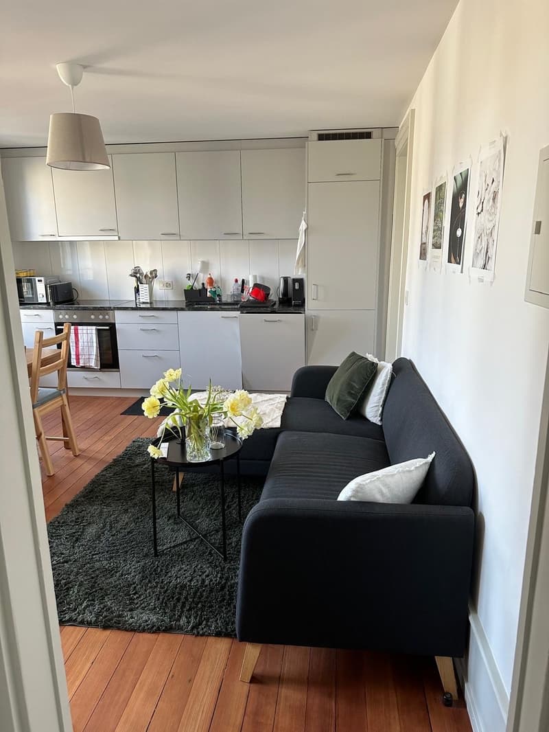WG-Zimmer in der Länggasse in einer 3er-WG (4)