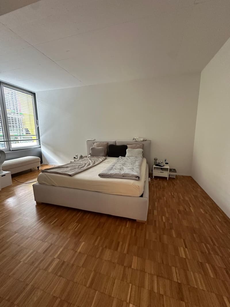 Loftwohnung direkt am Zürichsee zur Untermiete (9)