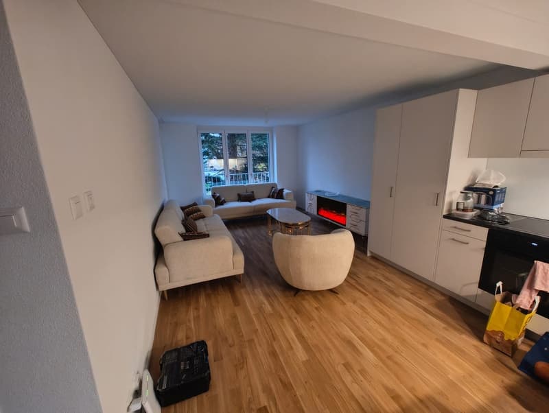 3 Zimmer Wohnung in Dietikon (6)