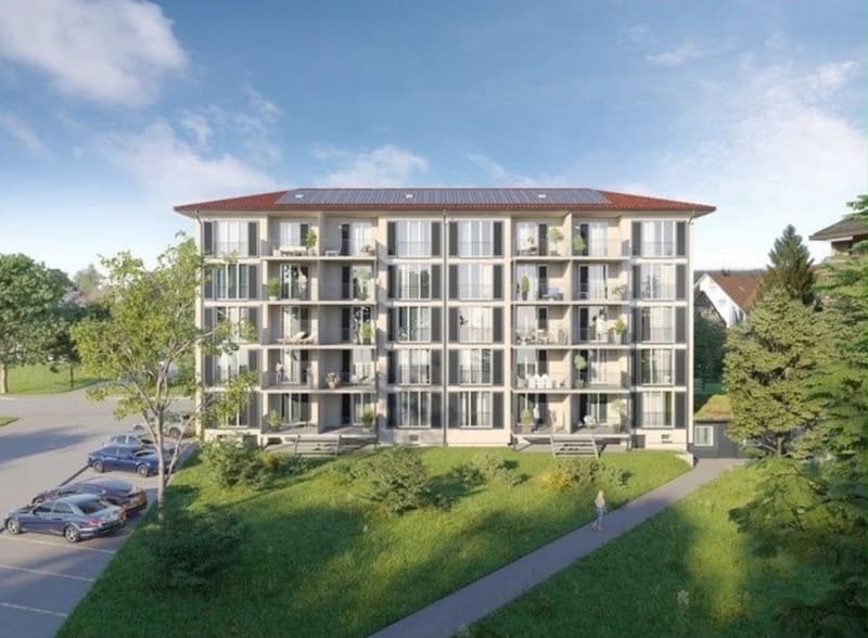 3 Zimmer Wohnung in Dietikon (3)