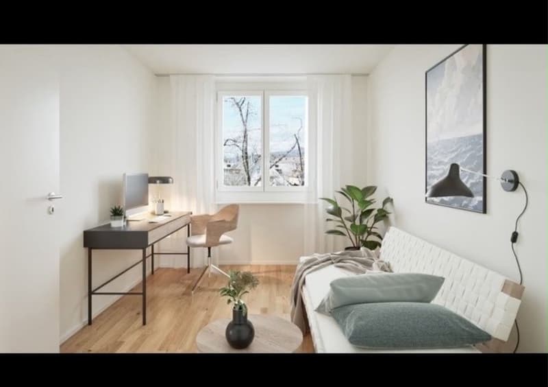 3 Zimmer Wohnung in Dietikon (1)
