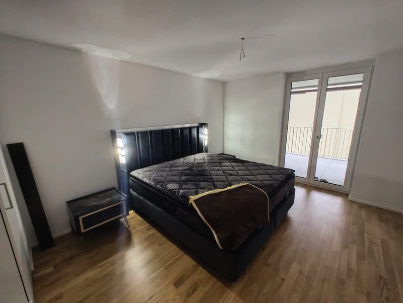 3 Zimmer Wohnung in Dietikon (4)