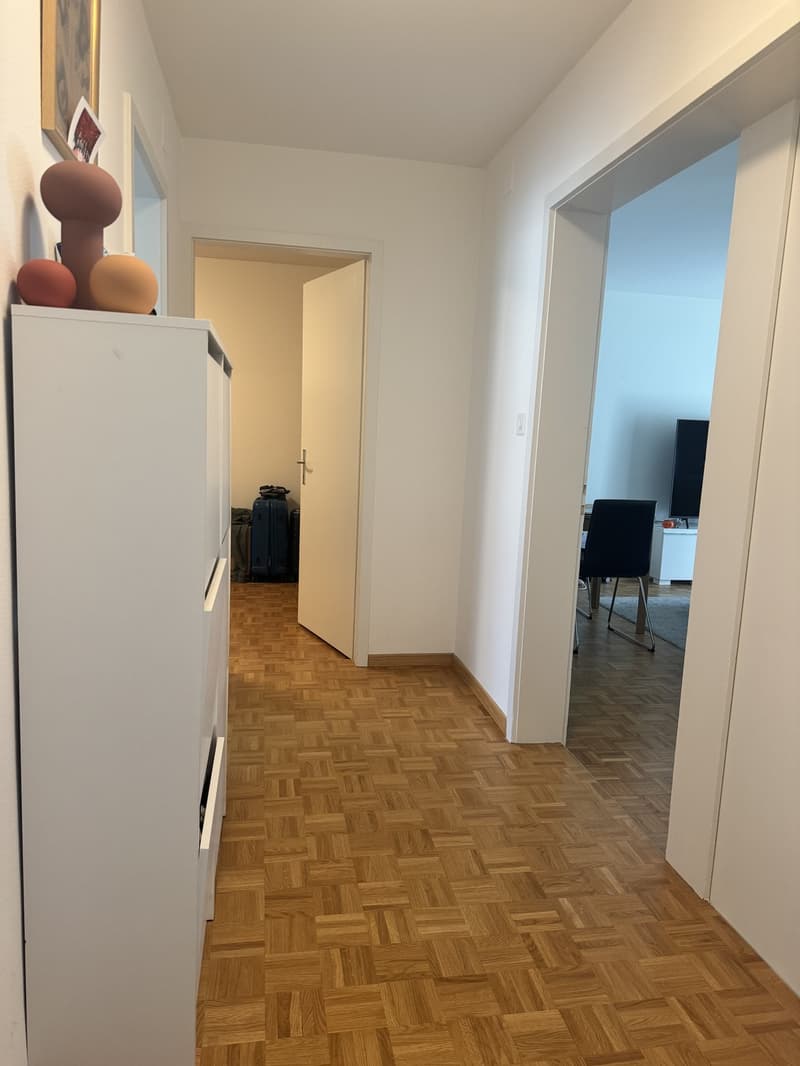 Wohnung zur temporären Untervermietung von 1.3.2027-31.5.2027 (3)