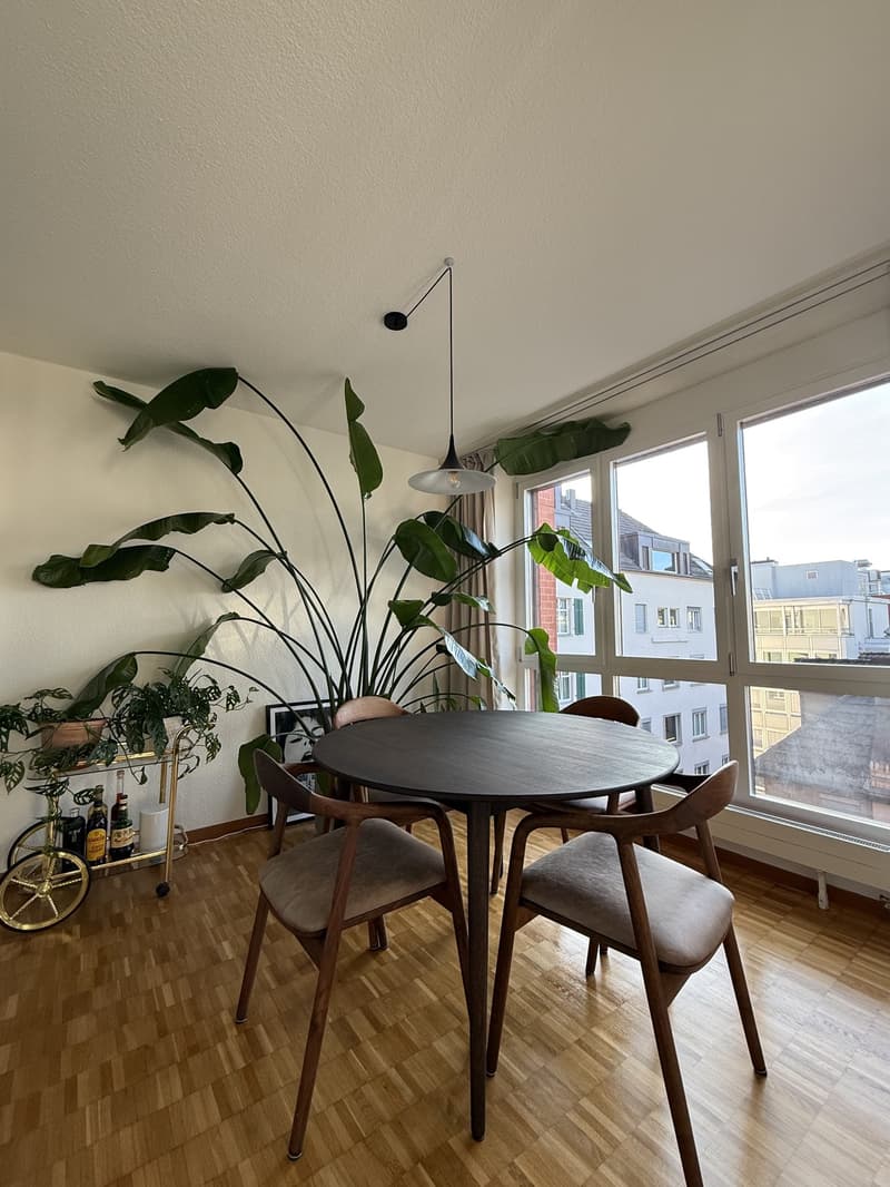 2.5 Zi Wohnung nähe HB (6)