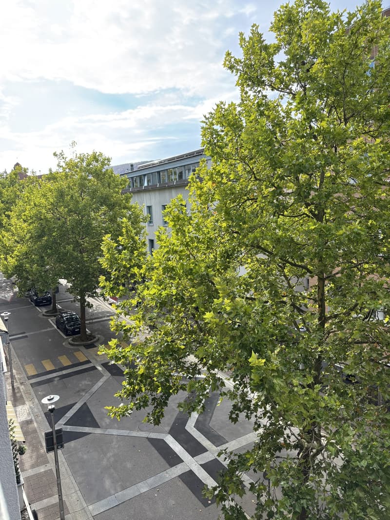 Zentrale, helle 3.5-Zimmer-Wohnung 5 Gehminuten zum Bahnhof Olten (12)