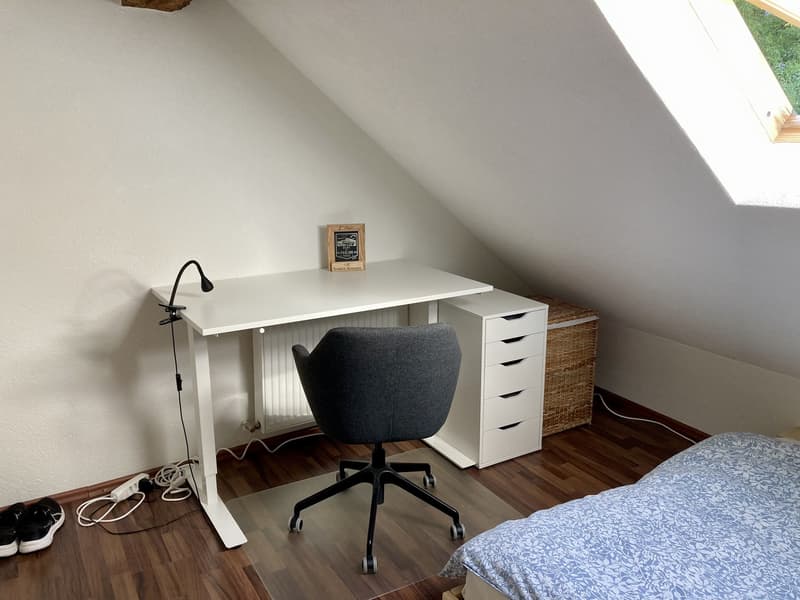 Chambre à louer en colocation dans un charmant appartement en basse ville de Fribourg (5)