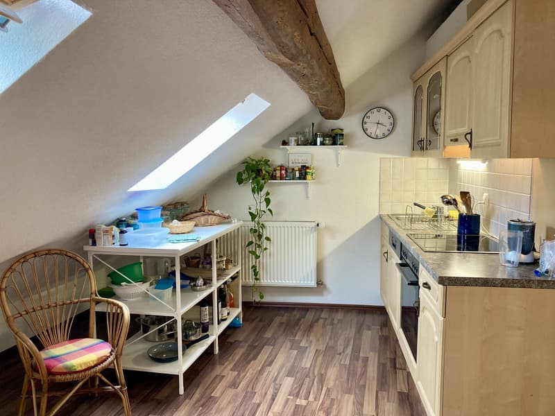 Chambre à louer en colocation dans un charmant appartement en basse ville de Fribourg (2)