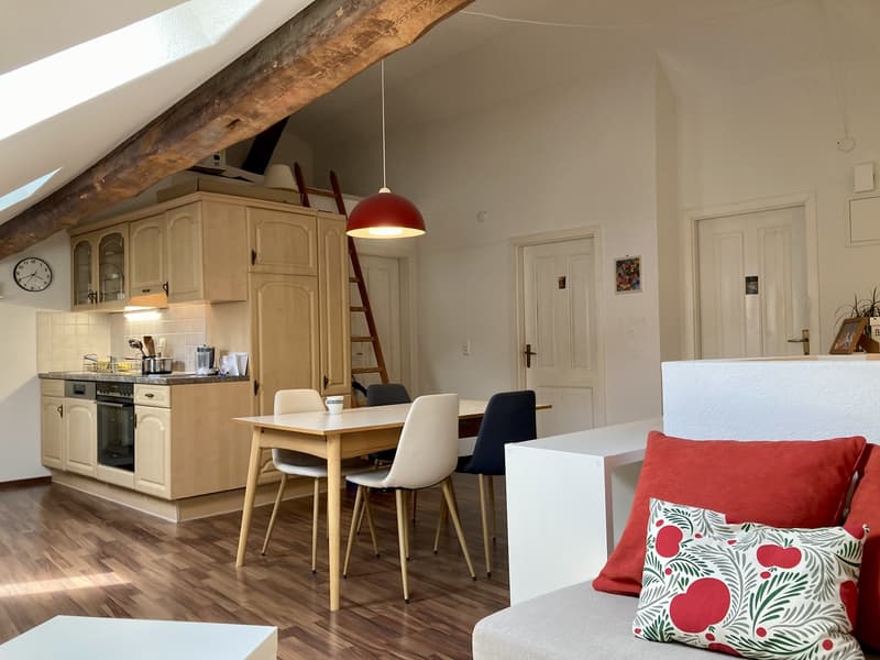 Chambre à louer en colocation dans un charmant appartement en basse ville de Fribourg (1)