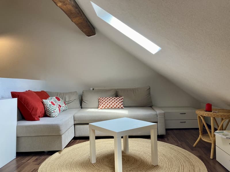 Chambre à louer en colocation dans un charmant appartement en basse ville de Fribourg (3)