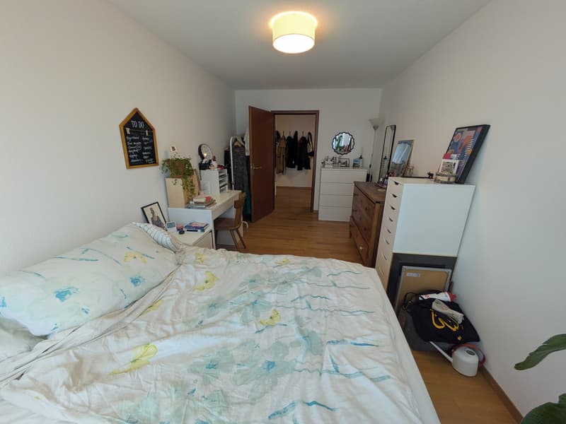 WG-Zimmer für 3 Monate mit Katze (2)