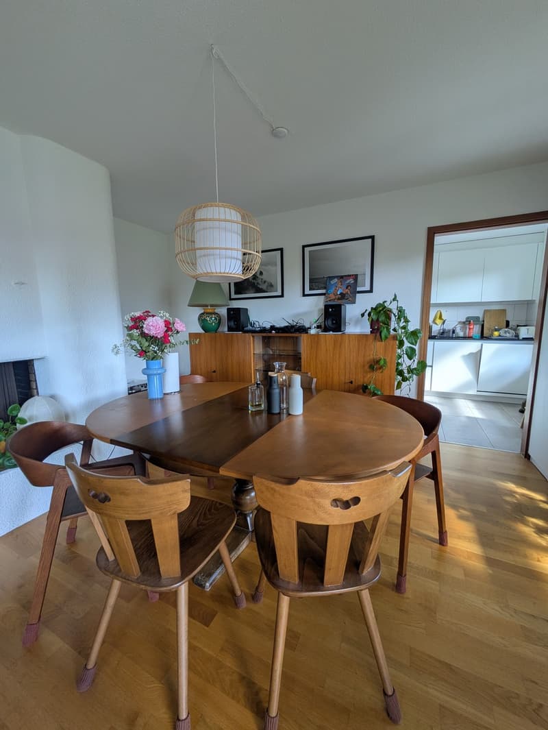 WG-Zimmer für 3 Monate mit Katze (4)