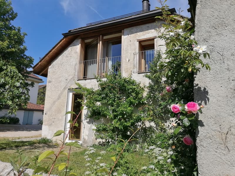 Chambre privative de 40 m² dans une colocation d'exception de deux maisons à Chigny (près de Morges) (3)