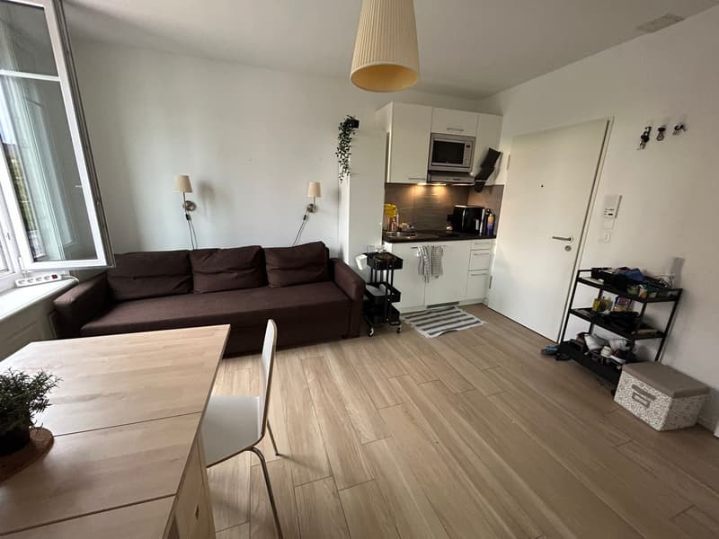 Studio Apartment Oerlikon (6)