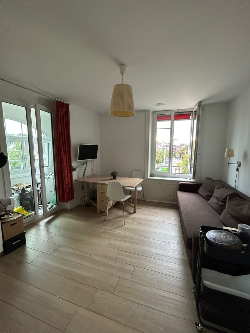 Studio Apartment Oerlikon (7)