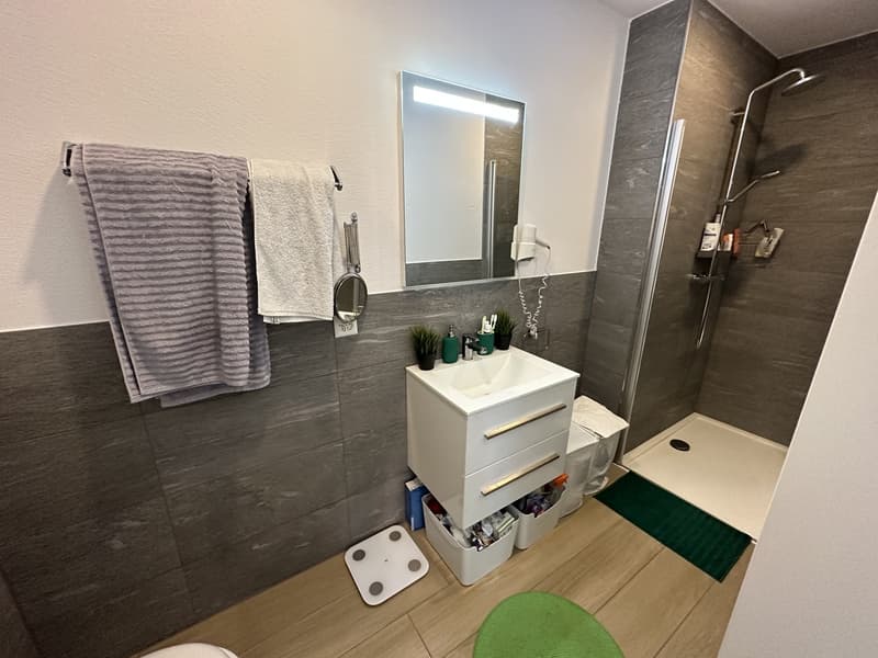 Studio Apartment Oerlikon (11)