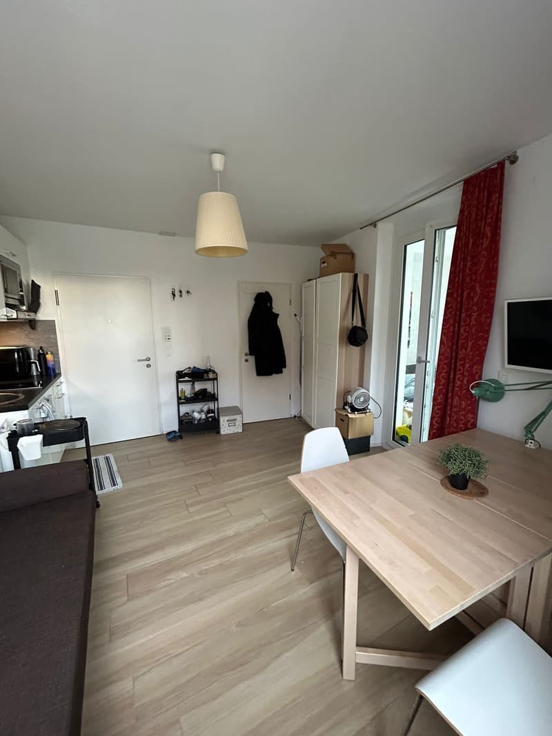 Studio Apartment Oerlikon (5)