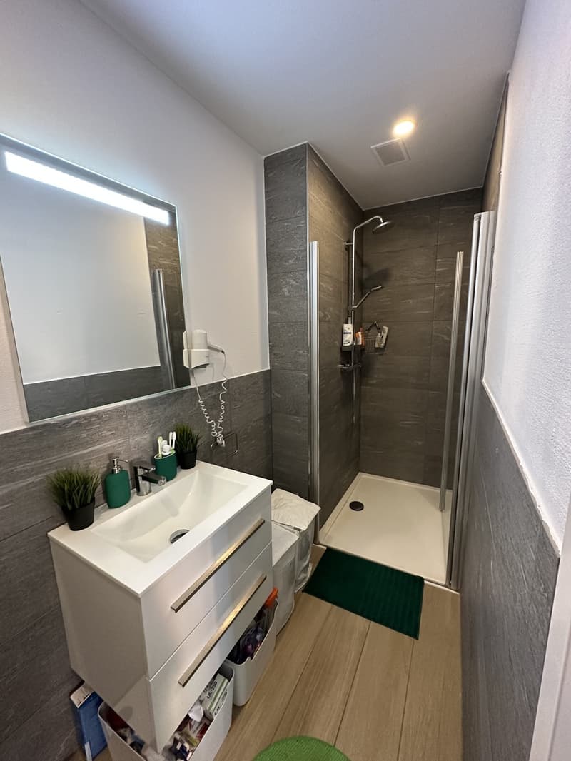 Studio Apartment Oerlikon (10)