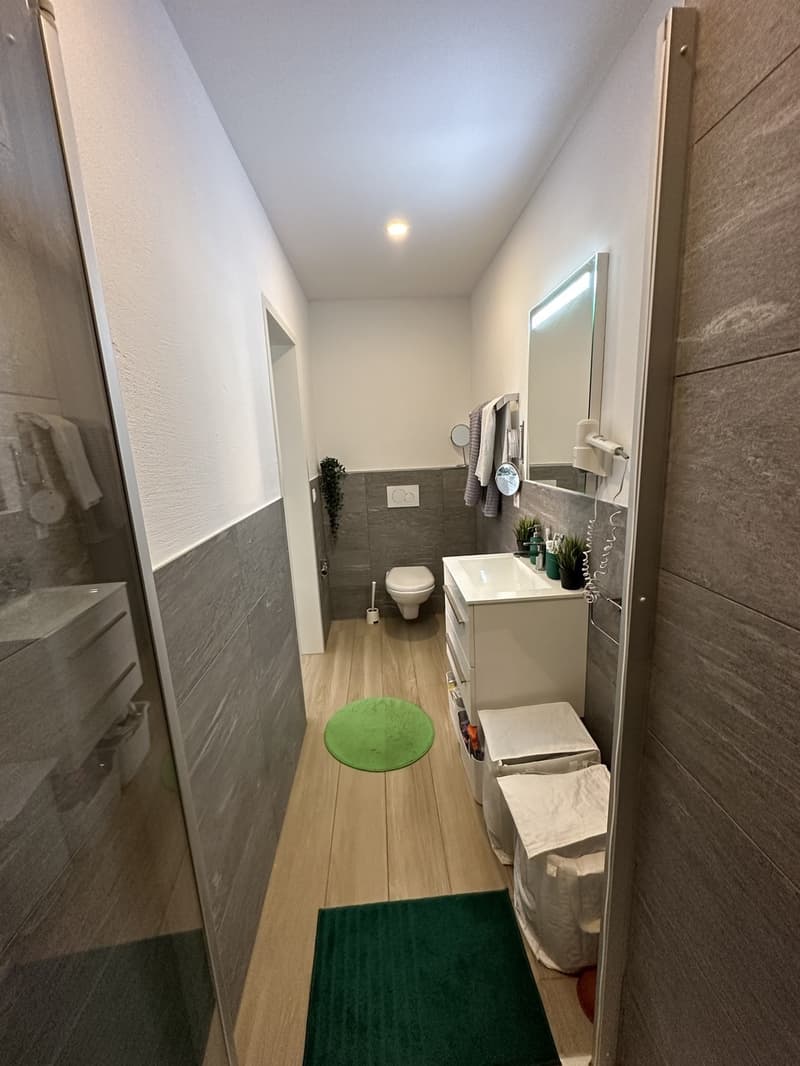 Studio Apartment Oerlikon (12)