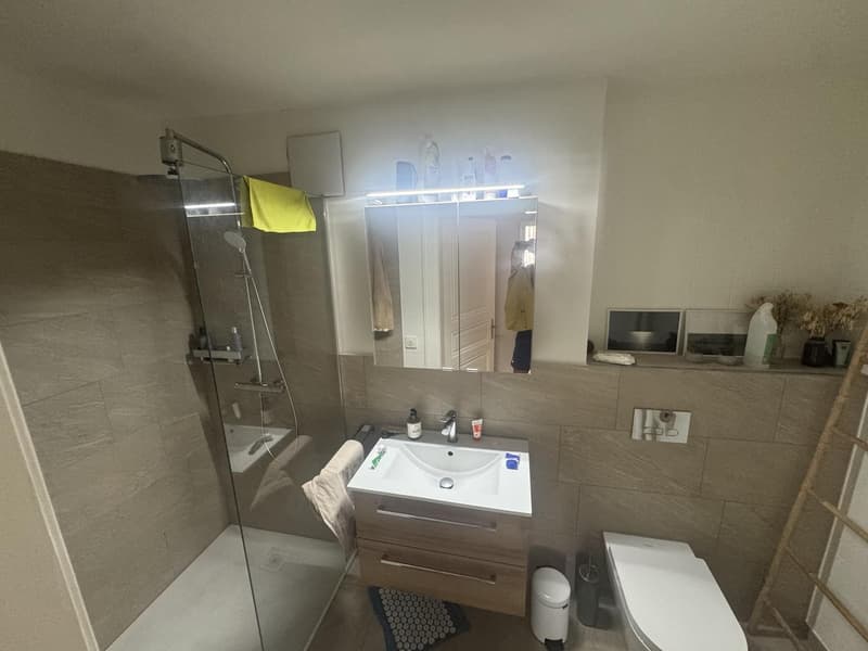 Top Wohnung - 3,5 Zimmer (6)