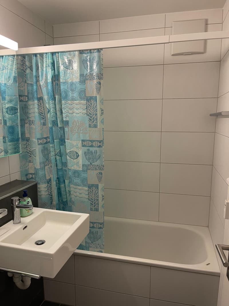 Wohnung zu vermieten (3)