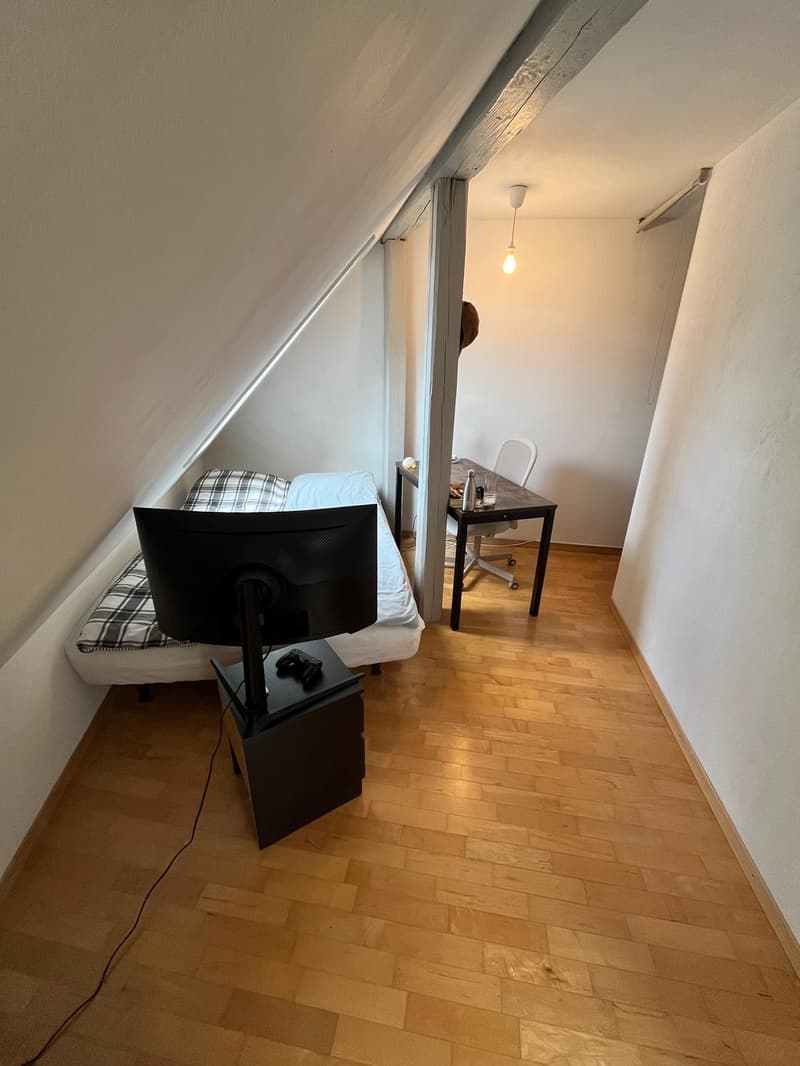 Room in a friendly WG in Zürich Enge (4)