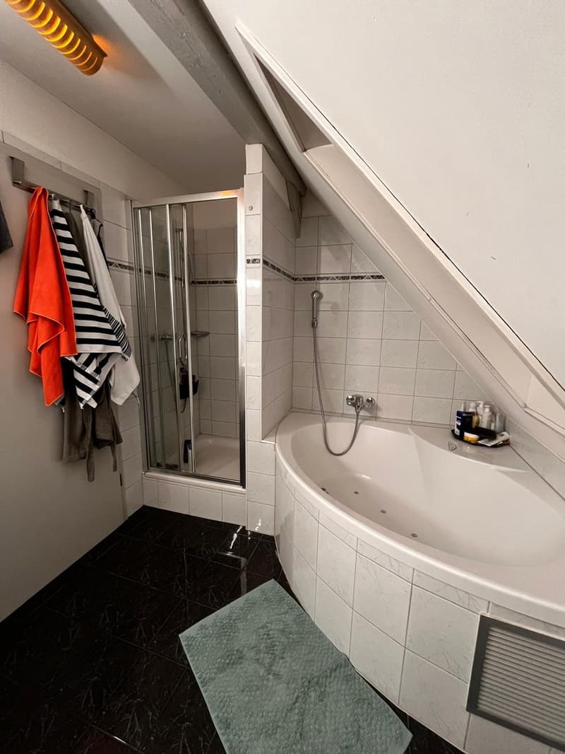 Room in a friendly WG in Zürich Enge (7)