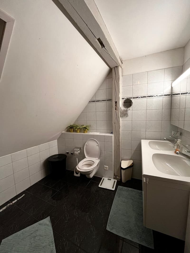 Room in a friendly WG in Zürich Enge (6)