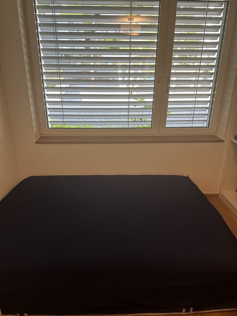Apartment to let for max 3 months (8)