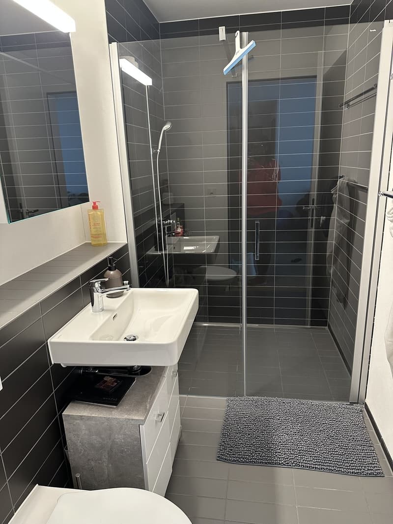 Apartment to let for max 3 months (5)