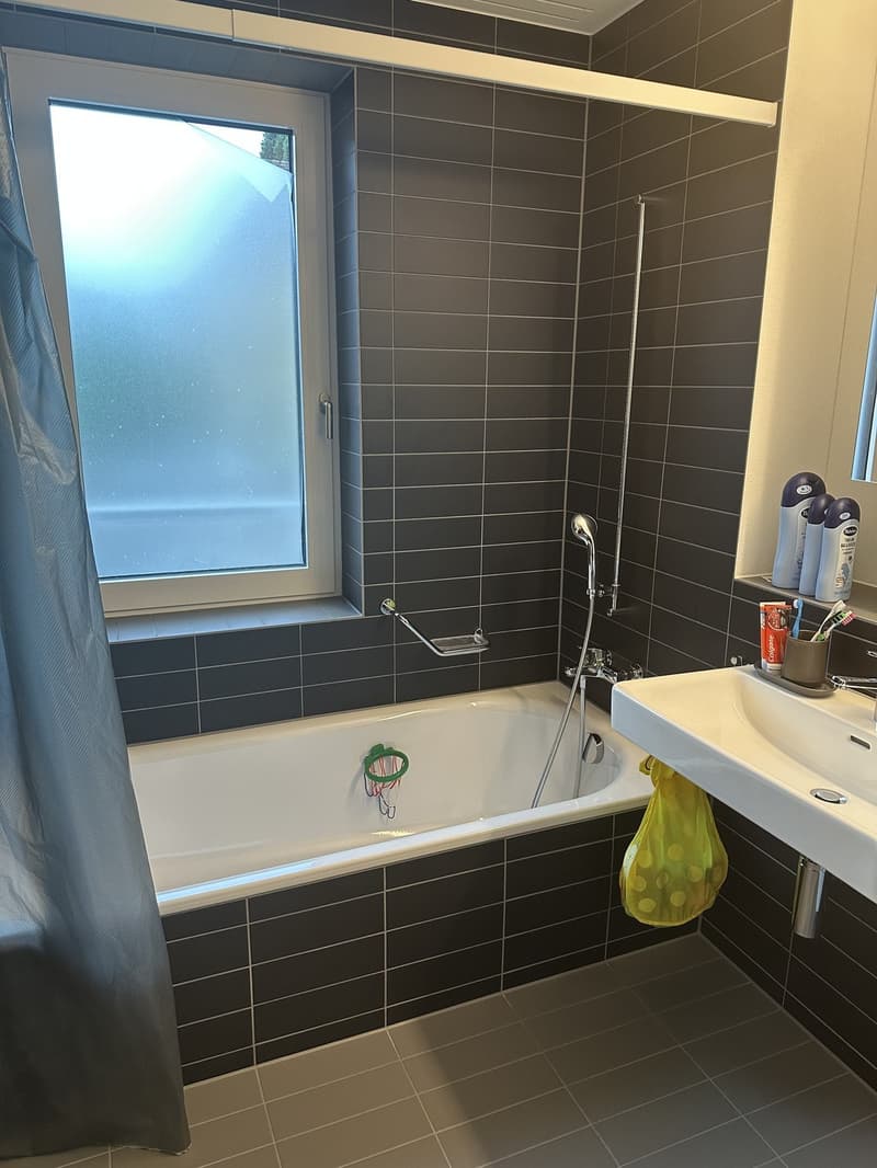 Apartment to let for max 3 months (2)